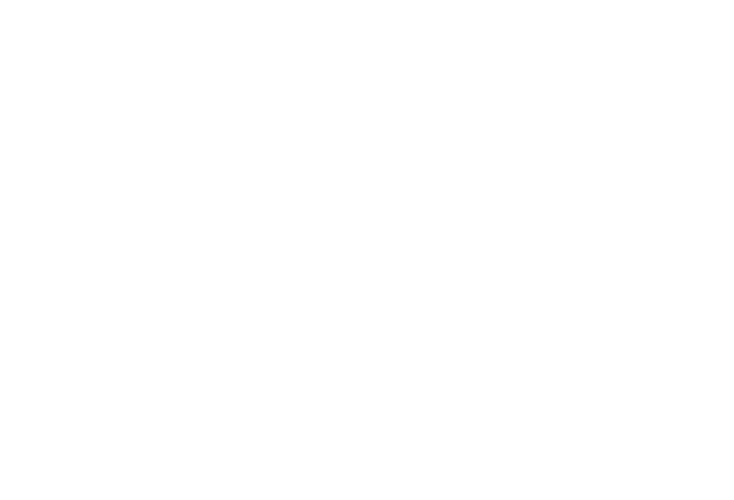 Solever Logo